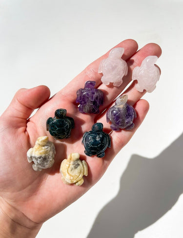 Mini Turtles Halo Quartz